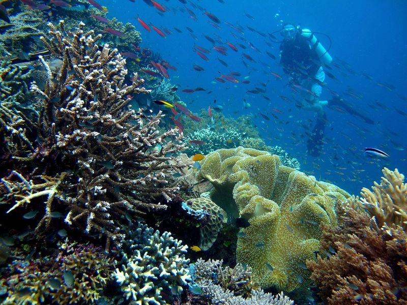 Indonesia