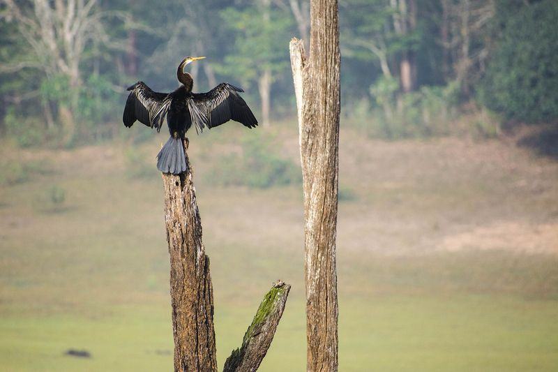Kerala