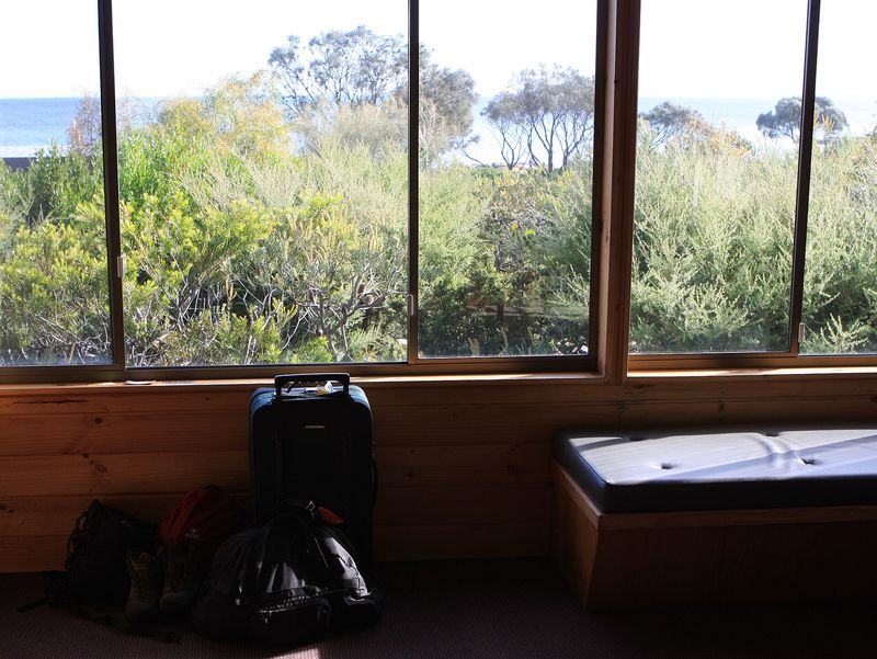 Great Barrier Reef Day Trip