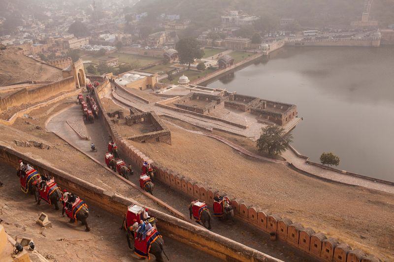Amber Fort elephants path — Rajasthan, India
