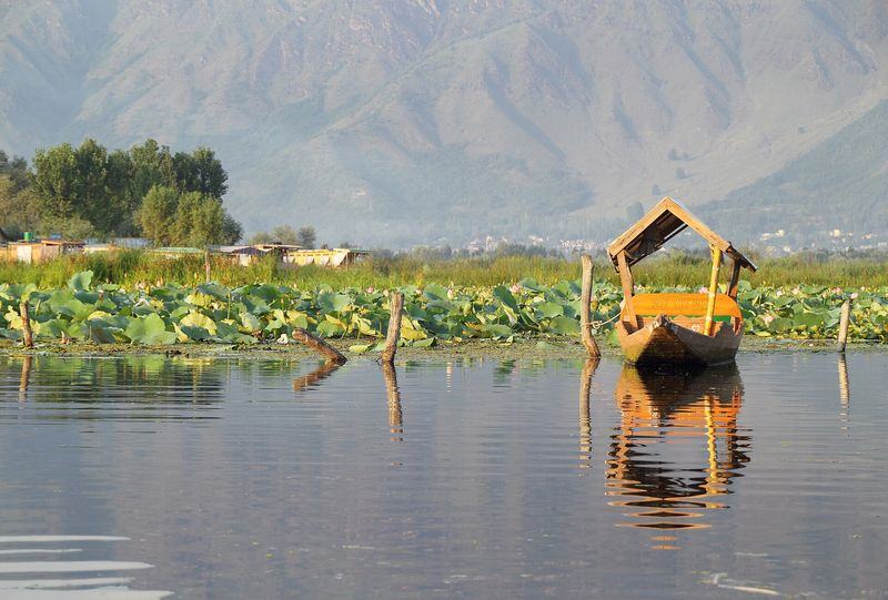 Dal Lake shikaras — Kashmir, India