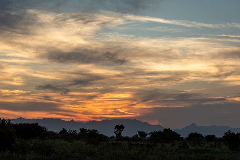 Kruger sunrise drive — South Africa, South Africa