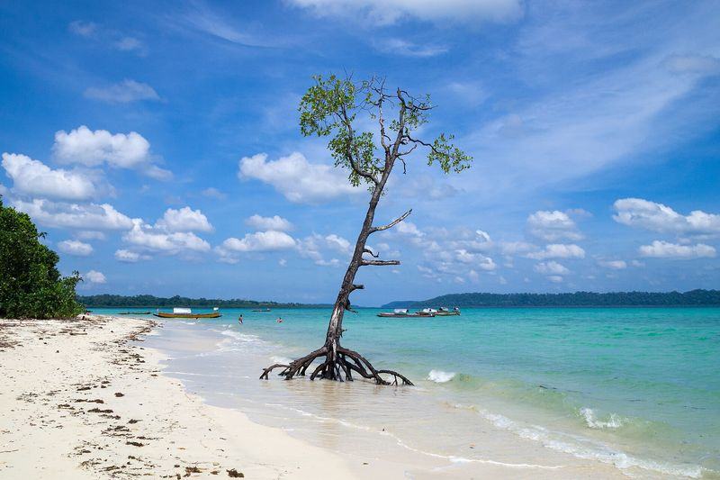 Andaman Island Hopper